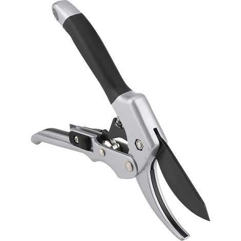 Ciseaux de Jardinage en Argent pour Taille Précise des Plantes et Arbustes - KZQ (1/2)