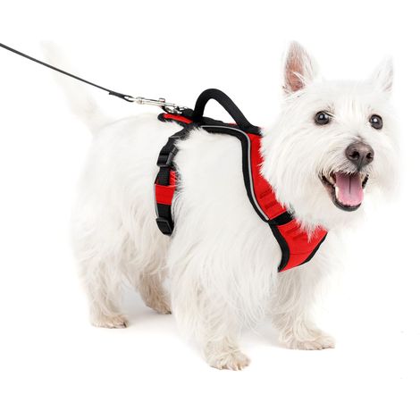 Pettorina modello Easy Sport per cani: S rosso (1/4)