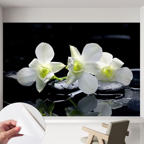 Tapete Selbstklebend - abwaschbar - trendige Wanddeko - elegant Fototapete Blumen und Steine 152x104 cm (1/5)