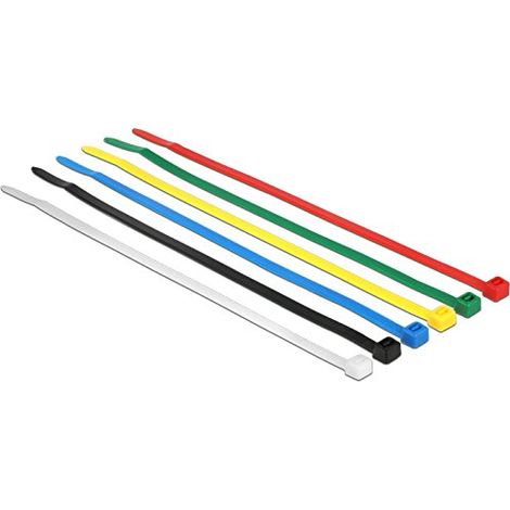 Delock 18626 Assortimento di fascette per cavi Nero, Blu, Verde, Rosso, Trasparente, Giallo 100 pz.
