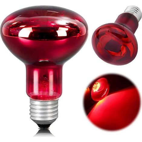 Lot de 2 lampes chauffantes pour reptiles, culot E27, pour poulets, 220 V, pour terrarium. (1/5)