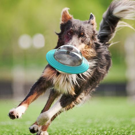 Balle distributrice de croquettes pour chien - Balle ludique et interactive - Aliments à alimentation lente pour animaux de compagnie (1/5)
