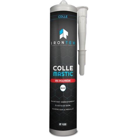 Irontek IT122 Joint Colle Blanc Ms Polymere 310ML