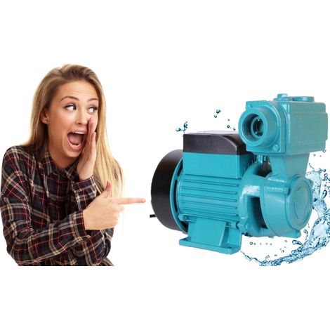 Pompe à eau WZI 750 - 50L/min - 750W - Haute pression - Construction durable (1/5)