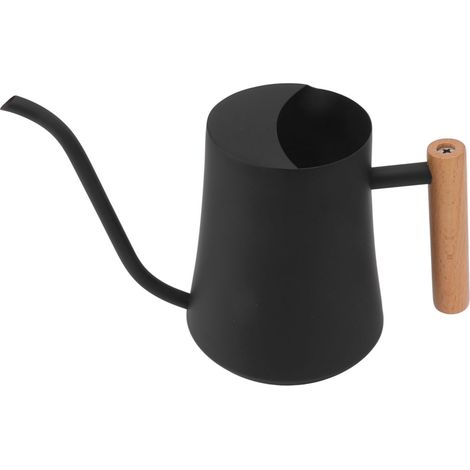 Arrosoir en acier inoxydable, petit arrosoir rétro pour plantes avec poignée en bois, pour usage intérieur, 1000 ml, noir (1/5)