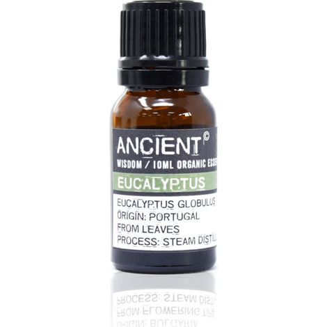 Huile Essentielle d'Eucalyptus Bio 10 ml- Vendu par 1