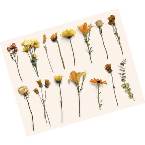 30 autocollants vintage plantes, fleurs et feuilles, style rétro, pour ordinateur portable, scrapbooking, journal, agenda et création de cartes. Motifs orange coucher de soleil. (1/5)