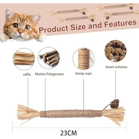 Catnip, Cat Stick, Cat Toys, Teeth Care Cat toothbrush, cat toothbrush for indoor cats (1/2)