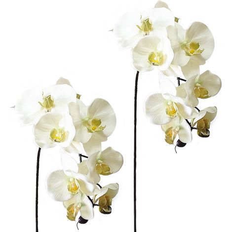 Tiges D'orchidées Artificielles, Fausses Fleurs D'orchidées au Toucher Réel, Plantes à Tige pour Décoration de Mariage et de Maison (C) (1/5)