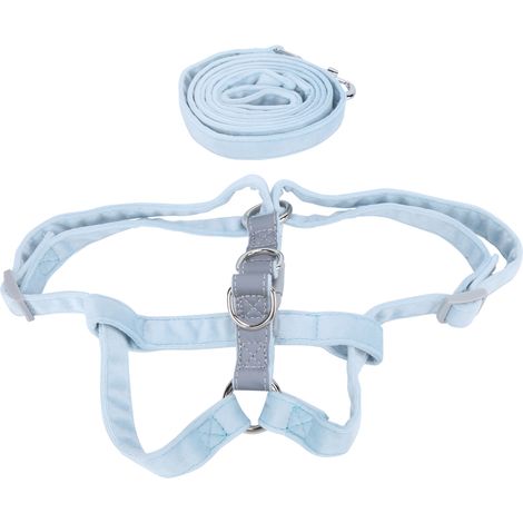 Ceinture de sécurité pour chien, réfléchissante, réglable et respirante, pour promenades en extérieur, pour chiens de petite, moyenne et grande taille. Bleu clair, taille S. (1/5)