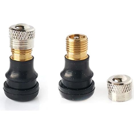 Valve de pneu tubeless Ninebot Max G30 (1/4)