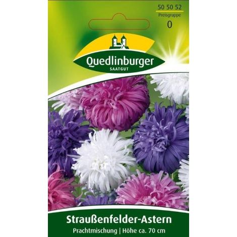 Quedlinburger Straußenfeder-Astern Prachtmischung - Blumensamen (1/2)