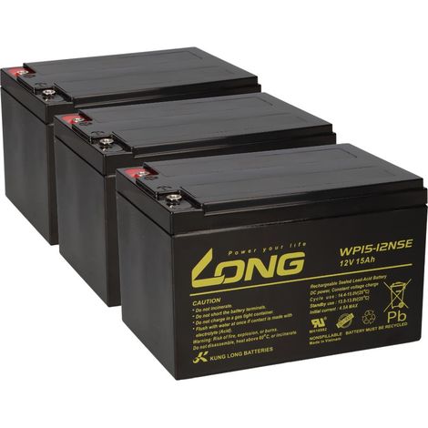 Akku-Satz 36V 15Ah passend für Rolektro BT100 (1/5)