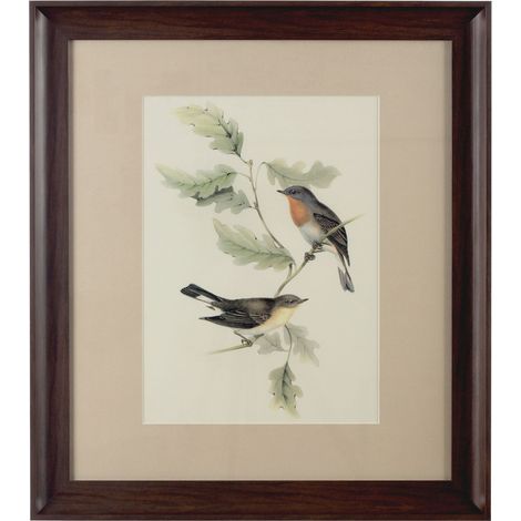 Premier Housewares Framed Birds 1 Wall Art