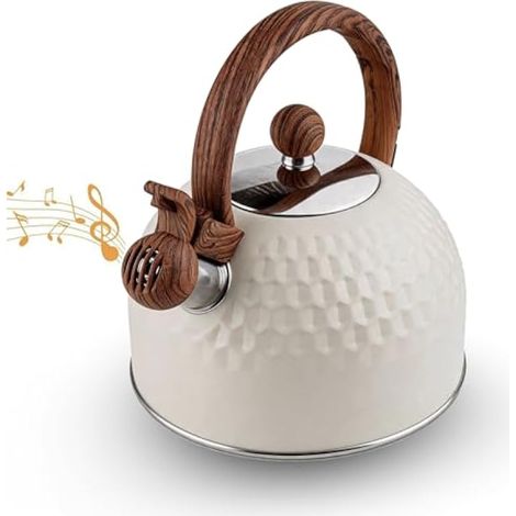 Bouilloire Sifflante, Bouilloire Sifflante Induction 2,5 L Inox Théières pour Cuisinière Poignée Résistante à la Chaleur Tous Feu Donc Induction Théière avec Sifflet pour Thé Café (1/5)