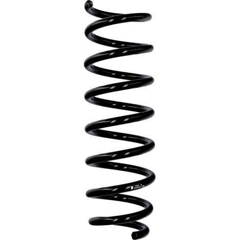 Eibach Originalfeder R23063 (1/2)