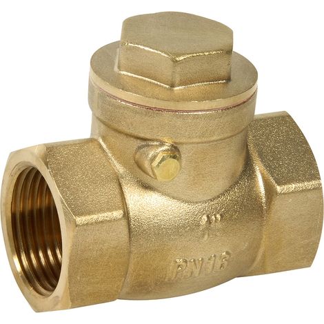 Clapet simple battant laiton Femelle BSP à siège métal PN16 - Série 321 40x49