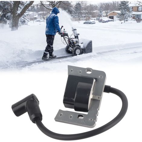 Carburateur de chasse-neige Tecumseh 631828 (1/5)