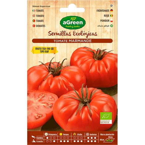 Semi di pomodoro Agreen Marmande RAF precoce 10 cm