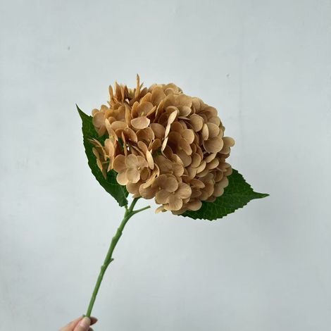 3 bouquets floraux artificiels 3D en photinia avec texture tactile réaliste – Décor élégant pour hôtels, mariages et événements – Couleur café clair