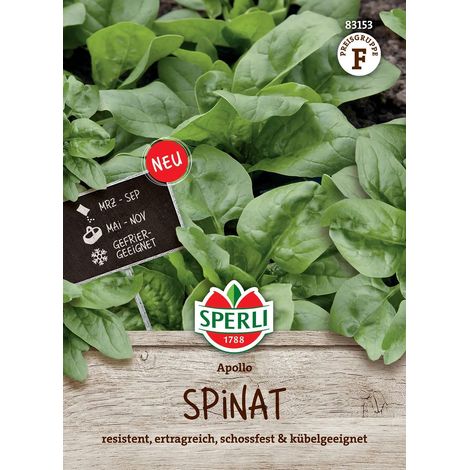 Sperli Spinat Apollo - Gemüsesamen (1/2)