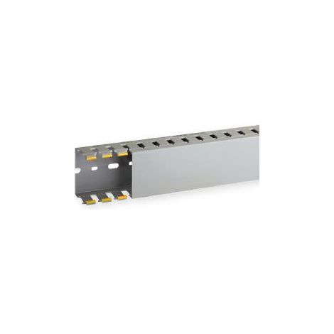 Goulotte de câblage au pas de 20 T1-N 60x40 grise IBOCCO B00831