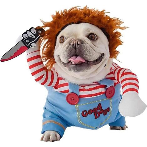 Costumes pour chiens – tenues amusantes pour Halloween/Noël, adaptées aux chiens de toutes tailles (M) (1/5)