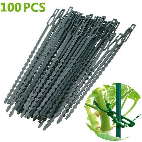 Pack of 100 Multi-Purpose Fishbone Plant Ties, 13cm Long, Green (1/5)