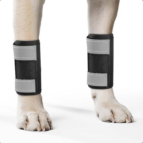 2 Unités - Genouillère Chien - Attelle Patte Avant - Soutien Articulaire et Compression - Néoprène Doux avec Sangles Réfléchissantes - Pour Blessures et Arthrite - Noir - Taille L (1/5)