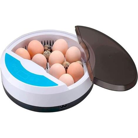Couveuse Oeuf Automatique - Incubateur Oeuf Poule 9 Oeufs avec contrôle de la température - idéal pour Volaille Caille Oie (1/5)
