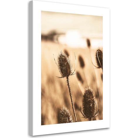 Tableau sur toile Fleur de cardère séchée 70x100 (1/5)