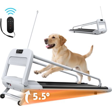 Cinta de correr plegable para perro, velocidad regulable, 125 x 56 x 96,5 cm, negro/blanco (1/5)