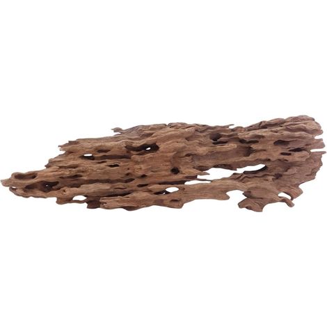 XL Honey Comb Wurzel Nr.5168 Holz Deko Aquascaping