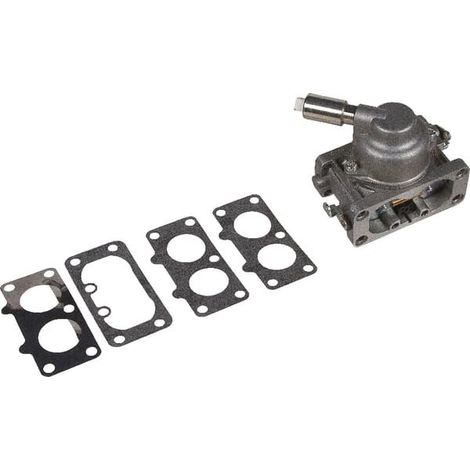 Carburateur BRIGGS ET STRATTON 792295 (1/2)