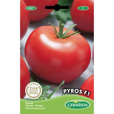Germisem graines Tomate PYROS F1