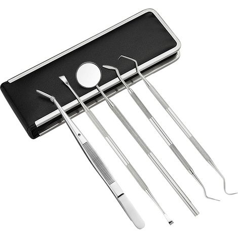 Kit D'Outils Dentaires En Acier Inoxydable 5 Pieces Pour Les Dentistes, Ensemble De Grattoirs A Dents Pour Un Usage Personnel Et Professionnel