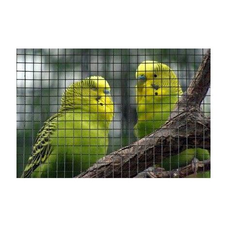 Grillage carré - NATURE - 0,5 x 3 m - Ep. 6,4 mm - Vert (1/2)