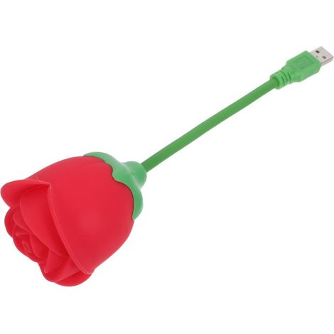 Veilleuse en Silicone pour Garçon et Filles de Rose Rouge, Lampe de Chevet Douce et Sûre, pour Chambre et Dortoir (1/5)