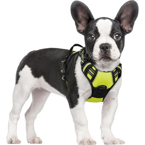 Arnés para perro verde talla M pecho 38-75 cm 1 pieza ajustable acolchado chaleco para perro chaleco de poliéster para mascotas (1/5)