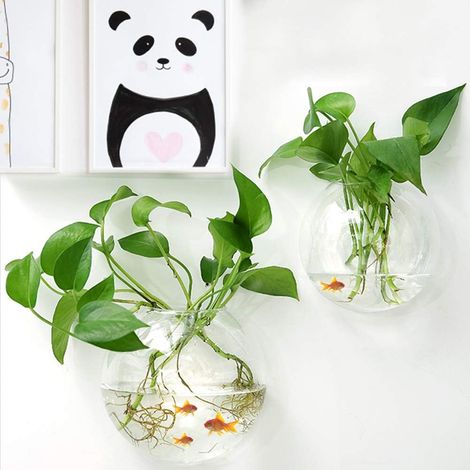 Lot de 2 Bols Muraux Acrylique, Diamètre 15 cm, Aquarium Suspendu Transparent, Décoration Maison Bureau (1/5)