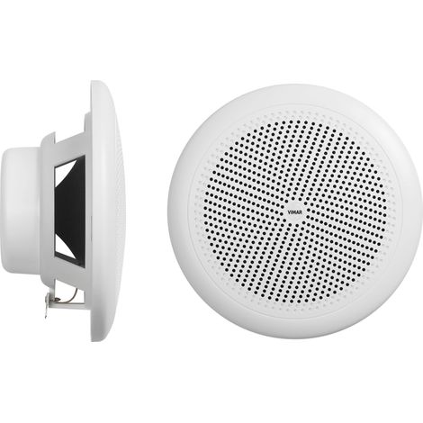 VIMAR - 01906 Haut-parleur IP55 pour éclairage 8 ohms 30 W