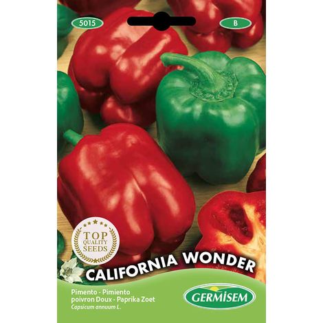 graines Poivron doux CALIFORNIA WONDER