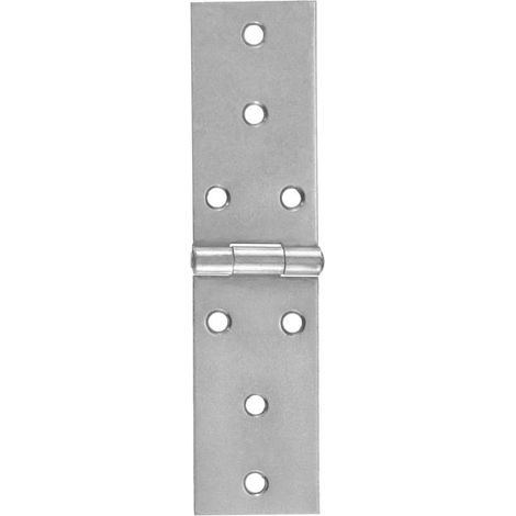 Cerniere Strette Lunghe Inox 120 X 33 Mm. - 2 Pz.