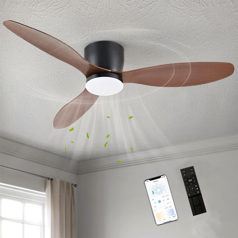 Ventilateur de plafond avec lumière, télécommande/contrôle par application, 6 vitesses de ventilation, minuterie, gradation continue (106 cm) (1/5)