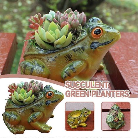 Pots de fleurs décoratifs pour plantes succulentes, en forme de grenouille. Décoration intérieure. (1/4)