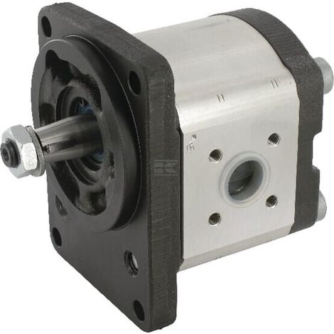 Pompa ad ingranaggi AZPF-22-022LCB20MB Bosch Rexroth BOSCH REXROTH 0510725342 (1/4)