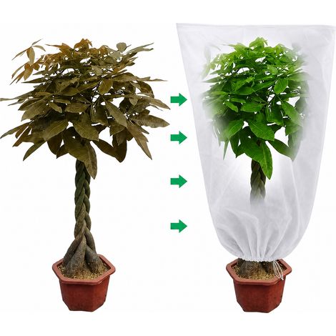 Housse d'Hivernage pour Plantes en Tissu Non Tissé 120 x 180 cm (1/5)