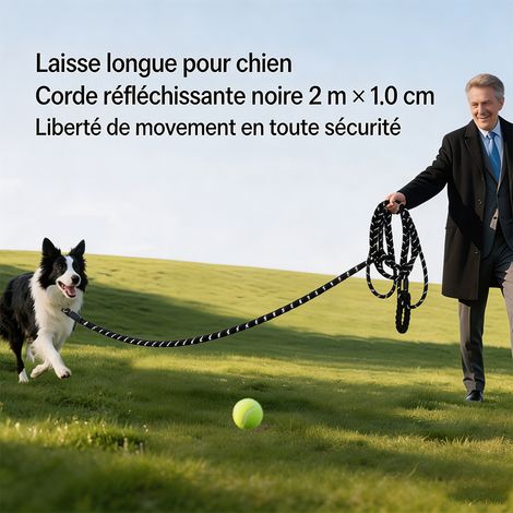 Laisse pour chien ultra-résistante en nylon tressé, 2 m × 1 cm, anti-traction, pour chiens moyens et grands, usage quotidien et extérieur- Noir (1/5)