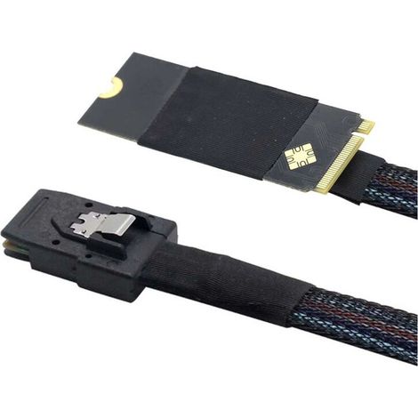 Cable Haute Vitesse pour Serveur Plug And M.2 (M-Key NVMe 2260) Vers SAS SFF-8087 0,5 M