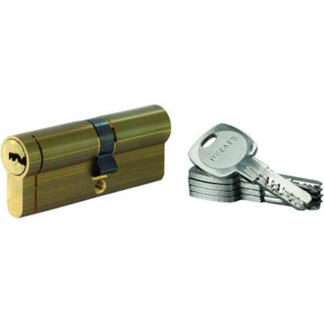 THIRARD - Lot de 10 cylindres Transit 1 double entrée 40x50mm, laitonné, 5 clés - THIRARD (1/5)